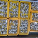 외길수산 이미지