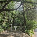 부산 대형 카페 추천 &#34;카페 만디&#34; 진짜 산만디에 있음