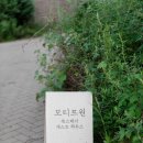 스테이파주 이미지