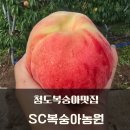 청보농장 이미지