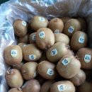 (주)골드레몬 이미지