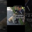 이재명 “반려견이 다마고치도 아니고 키우다 버려” 野 “행복이는?” 이미지