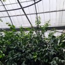 열이농장 이미지