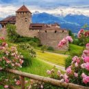 스위스랜드 이미지