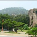 유달산 Daum카페