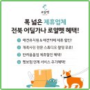 로얄펫 네이버블로그