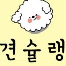 견슐랭 이미지