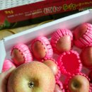 예담농장 이미지