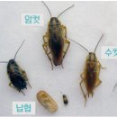 한국위생지킴이 네이버블로그