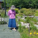 부곡허브농원 아로마빌리지 이미지