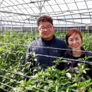 하정농장 이미지