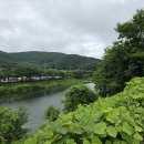 경기도 광주시 초월읍 195평 계획관리 배산임수 최고조망 다용도 이미지