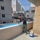 뽀독 | 포항청소업체 단독주택 외벽 테라스 고압세척 및 페인트 작업후기