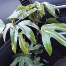 정성스레 이미지