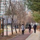 삼산월드체육관 족구장 이미지