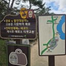 경상북도 안동시 하회마을관리사무소 이미지