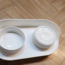 봄펜션 | 여수, 다시봄 반려견 동반펜션 후기