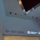 미래타워 | 25년 10월 도쿄 롯폰기힐즈 모리타워 모리미술관 전시 후기 1부 : 숲에서 미래를 찾는 미래의 모습