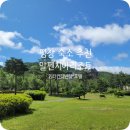 150014 | [평창호텔&amp;리조트] 내돈내산 인터컨티넨탈 알펜시아 평창 리조트 1박 숙박 후기(23.6.21 방문)