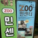 몽글몽글 애견카페 | 홍대 애견 카페 후기│귀여움 과다 주의! <쥬민센터>