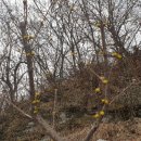 영천농협화남지점 이미지