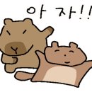 마조로3가길 이미지