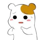 신기먹방 이미지