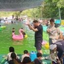 팔영산자연휴양림 이미지