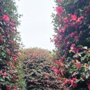 남원읍-25 이미지