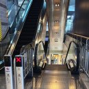 스타멀티게임장 | 건대 롯데시네마 놀거리 시설 체크｜특별상영회 패왕별희 후기