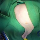 녹번동물병원 이미지