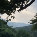명성집 이미지