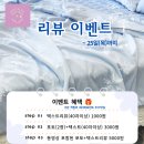 온리앨리스 이미지