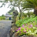 애월한옥 민박 이미지