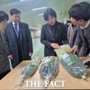 진도종합식품 이미지