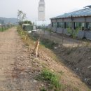 동면 게이트볼장 이미지