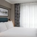 로얄피시 이미지