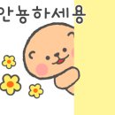 다다하다토곡점 이미지