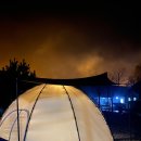 데일리랜드 이미지