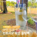 피크닉, 캠핑 필수품 와인 용품 추천 와인보냉백 | 빈토리오 와인 칠링백 사용 후기