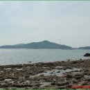 모도리 이미지
