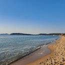 늑대와 여우 컴퓨터 이미지