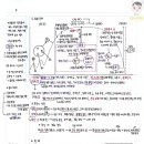 고대1119 이미지