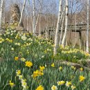 대전지체장애인협회 동구지회 이미지