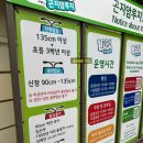 느티나무 할아버지 | [곤지암 여행] 셀프 바베큐| 루지 360| 화담숲 맛집| 객실 솔직후기