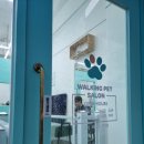 워킹펫살롱 이미지