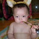 불량여우 Daum카페