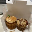 비건 베이커리 당근 컵케이크 이미지