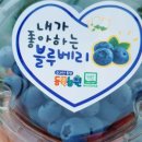 듬뿍농원 네이버블로그