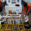 창선낚시